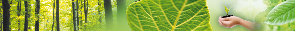 Bannière - Sustainable development