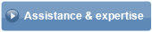 Assistance et expertise en automobile